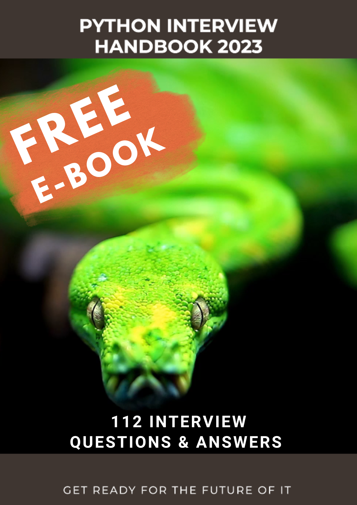 The Python Interview Handbook 2023 - FREE BOOK 112+ Q&A